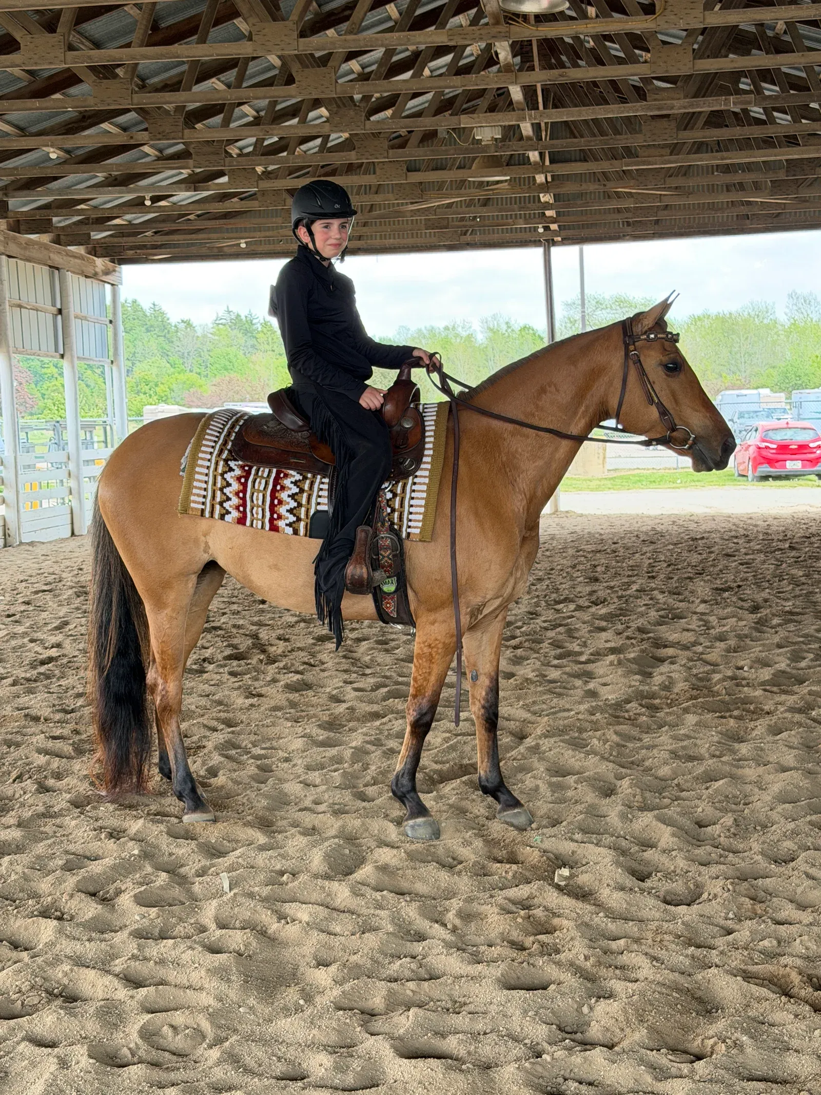 Lane, a calm young mare used for western riding lessons at MSB Riding Academy in Howell, Michigan