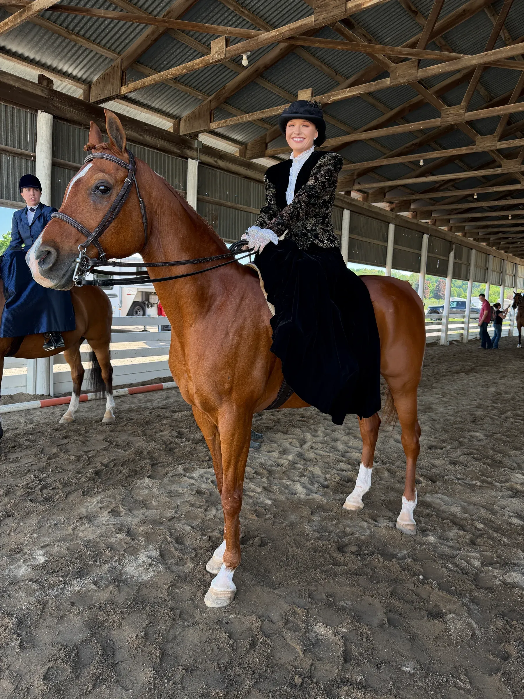 Zenzo, a purebred Arabian lesson horse specializing in huntseat pleasure at MSB Riding Academy