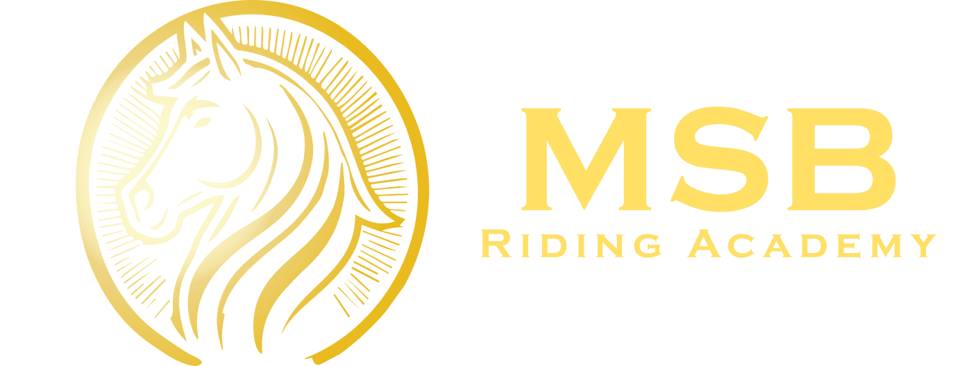 MsbRiding
